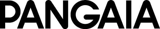 pangaia hoodie Logo